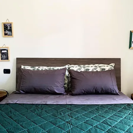 Nel Cuore Dell'appennino Tosco-emiliano *