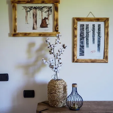 Nel Cuore Dell'appennino Tosco-emiliano *