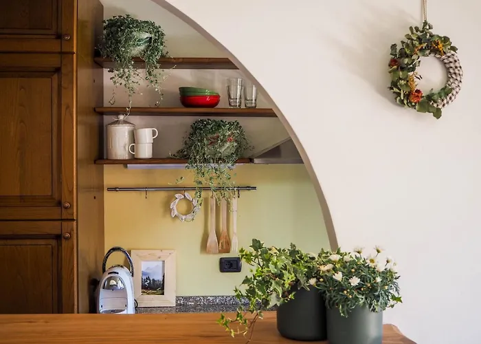 Nel Cuore Dell'appennino Tosco-emiliano 산 베네데토 발 디 삼브로